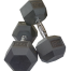 Sports And Fitness 15kg Hex Dumbbell 2 pcs image