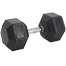 Sports And Fitness 25kg Hex Dumbbell 1 pcs image