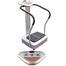Sports House Crazy Fitness Massager - Silver image