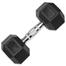 Sports House Hexagon Dumbbell 10kg - Black image