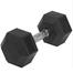 Sports House Hexagon Dumbbell 10kg - Black image