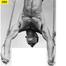 Sports House Two Pcs Chin Up Ring - Silver image
