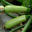 Squash Seeds China Re-Pack - 5pcs image