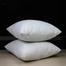 Standard Fiber Cushion, Tissue Fabric White 14x14 Inch Set of 5 image