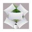 Standard Fiber Cushion, Tissue Fabric White 20x12 Inch Set of 5 image