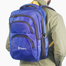 Stripelnc Exclusive And Premium Quality School Bag Blue image
