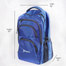 Stripelnc Exclusive And Premium Quality School Bag Blue image