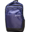 Stripelnc Exclusive Backpack - Blue image