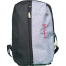 Stripelnc Exclusive Travel Backpack - Black And Grey image
