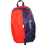 Stripelnc Exclusive Travel Backpack - Red and Navy Blue image