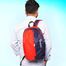 Stripelnc Exclusive Travel Backpack - Red and Navy Blue image