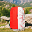 Stripelnc Exclusive Travel Backpack - Red And Creamy Pink image