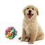 Strong Rubber Dog Toy Multi Colour image