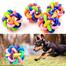 Strong Rubber Dog Toy Multi Colour image