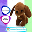 Stuffed Plush Cartoon Dog Plush Dolls Toys image