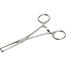 Surgical Instrument Stainless Steel 410 Grade Allice Tissue Forceps (6'' Inches) image