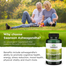 Swanson Full Spectrum® Ashwagandha (450 mg per Capsule) - 100 Capsules -524930290 image