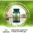 Swanson Lactobacillus Gasseri Probiotic Supplement for Digestive Health - Microbial Balance- 3 Billion CFU / 60 Veg Caps image