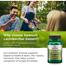 Swanson Lactobacillus Gasseri Probiotic Supplement for Digestive Health - Microbial Balance- 3 Billion CFU / 60 Veg Caps image