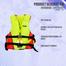 Swimming Life Jacket Green S image