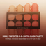 Swiss Beauty Ultra Blush Palette 03 image