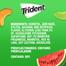 TRIDENT Watermelon Flavor Sugar Free Gum X 14 Soft Gum image