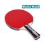 Table Tennis Bat-3DC image