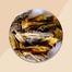 Taki Shutki Fish / Dry Fish Premium Quality image