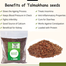 Saad Talmakhna Seeds - 250gm image