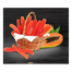 Tan Tan Dried Papaya Slice 70 gm image