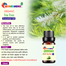 Rongdhonu Tea Tree Essential Oil -10ml image