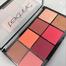 Technic Blush and Highlight Palette Jungle Fever image
