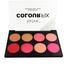 Technic Color Fix Blush Palette 8 Color - Fard a Joues image