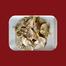 Tekchanda Shutki Fish / Dry Fish Premium Quality image