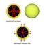 Tennis Ball Lime - Natural Rubber image