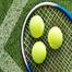 Tennis Ball Lime - Natural Rubber image