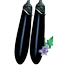 Thick And Tender Long Eggplant Seeds Re-Pack - 0.1gm image