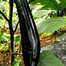 Thick And Tender Long Eggplant Seeds Re-Pack - 0.1gm image