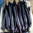 Thick And Tender Long Eggplant Seeds Re-Pack - 0.1gm image