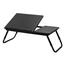 Tiltable And Foldable Double Head Laptop Table- Black Color image