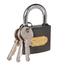 Tolsen Heavy Duty 63 mm Iron Padlock with 3 Iron Keys image