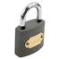 Tolsen Heavy Duty 63 mm Iron Padlock with 3 Iron Keys image