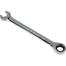 Tolsen Ratchet Gear Spanner Fixed Head 13 mm Combination Wrench Cr-V image