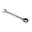 Tolsen Ratchet Gear Spanner Fixed Head 21 mm Combination Wrench Cr-V image