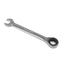 Tolsen Ratchet Gear Spanner Fixed Head 25 mm Combination Wrench Cr-V image