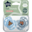 Tommee Tippee Fun Friends Orthodontic Soothers 6-18 Months, Set of 2 image
