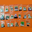 Top Selling 20 Type Vegetable And Spicy Seed Chilli, Korola, Borboti, Palong Shak, Lalshak, Data Shak, Kumra, Mula, etc image
