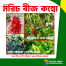 Top Selling 5 Type Hot Chili Seeds Combo Pack - 0.5gm image