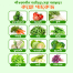 Top Selling Winter Combo Seeds Pack 12 Item Re-Pack image