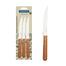 Tramontina Steak knives 3 pcs set - 22300/305 image